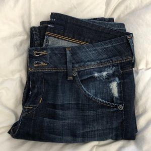 HUDSON / Collin Flap Skinny Jean / Distressed